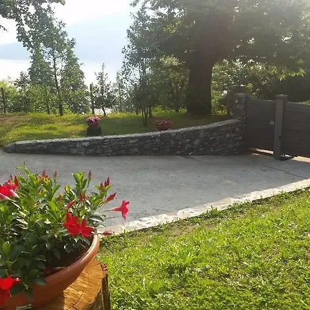 Ξενοδοχείο Tranquil Nestled Among Ancient Chestnut Trees *